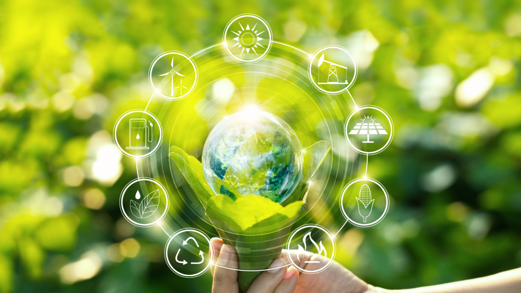 ESG Sustainability Principles: How Do You Apply Them in ESG Reporting?